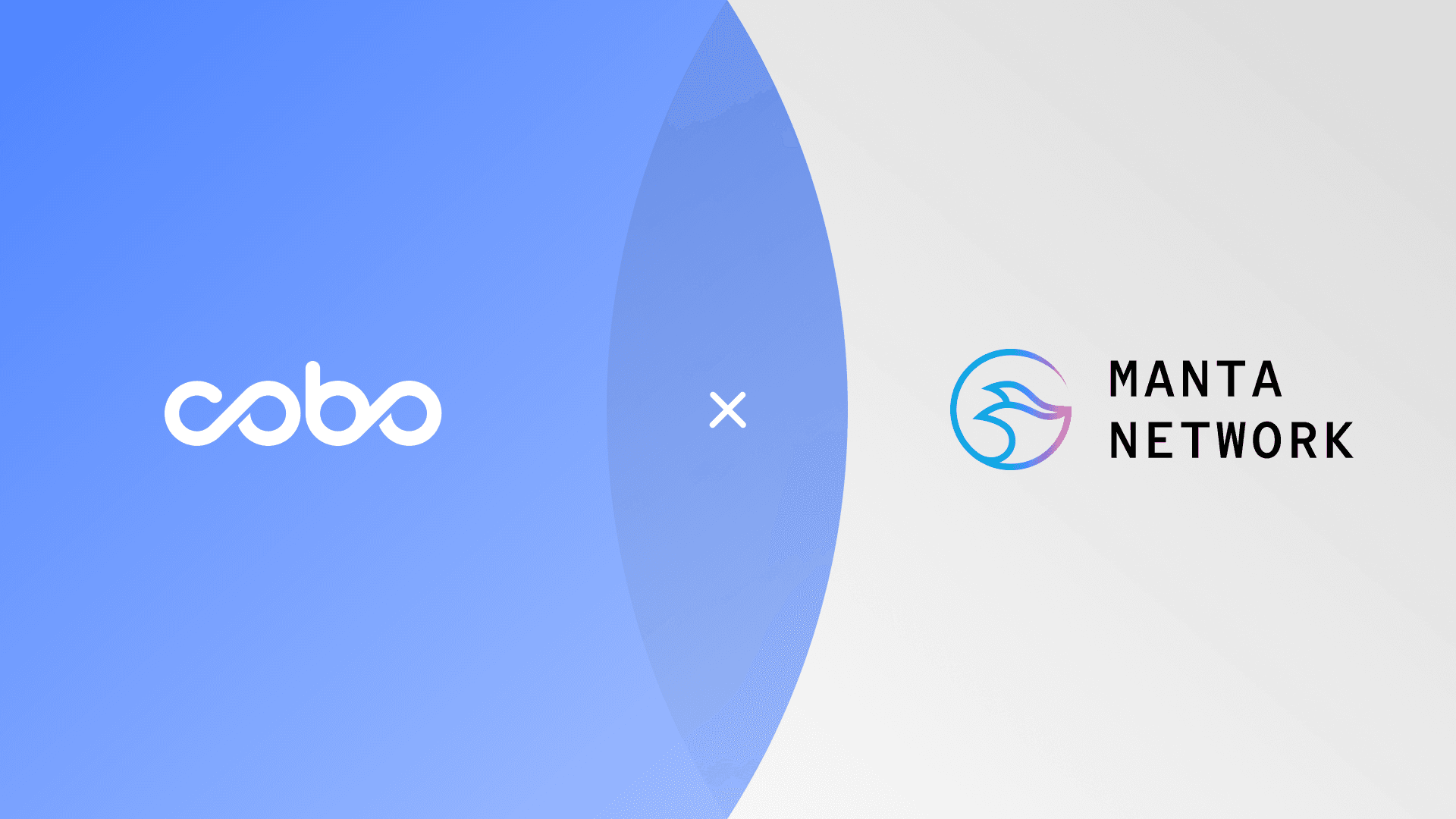 Cobo Partners with Manta Network to Offer Comprehensive Custody and Risk Management Solutions